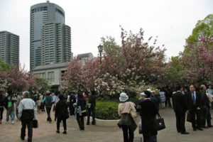 造幣局通り抜け　ビルと桜と人
